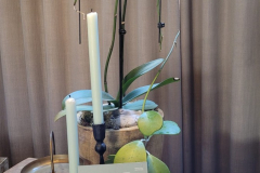 5867ff33-237c-467d-90b4-74d8425a2a41