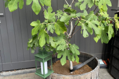 eb830347-40e2-44b7-b174-d63101ded809